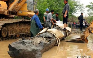 Lội sông bắt cá, người đàn ông vớt được khúc gỗ dài 8m, nặng 5 tấn: Chuyên gia khẳng định báu vật có tuổi đời 930 năm