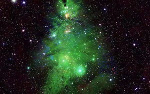 Chòm sao ‘cây thông Noel’ sáng lấp lánh trong vũ trụ
