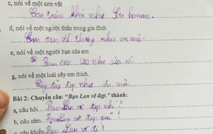 "Sang chấn" với bài tập tiếng Việt của học sinh lớp 3: Chú gà trống ngáy to như con lợn, nhưng đến đoạn tả cây đào mới cười ná thở