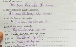 "Sang chấn" với bài tập tiếng Việt của học sinh lớp 3: Chú gà trống ngáy to như con lợn, nhưng đến đoạn tả cây đào mới cười ná thở