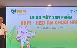 Từng có tham vọng là DN đầu tiên làm mô hình 'từ trang trại đến bàn ăn mà có đủ sản phẩm', HAGL chuẩn bị thoái vốn khỏi chuỗi bán thịt heo ăn chuối