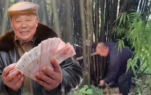 Vào rừng hái măng, người đàn ông "nhặt" được túi tiền hơn 24 tỷ đồng, cảnh sát Nhật Bản lập tức vào cuộc điều tra: Danh tính chủ nhân số tiền gây bất ngờ