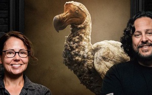 Loài chim Dodo đã tuyệt chủng có thể sẽ được các nhà khoa học “hồi sinh”
