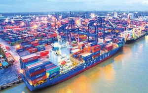 Viconship (VSC) chi nghìn tỷ mua lại Cảng Nam Hải Đình Vũ của Gemadept, trở thành công ty cảng lớn nhất Hải Phòng?