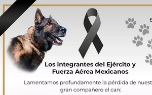 Tìm được 2 người còn sống, chó cứu hộ Mexico tử nạn ở Thổ Nhĩ Kỳ