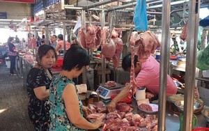 Heo hơi tuột khỏi mốc 54.000 đồng/kg, người chăn nuôi gặp khó