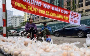 Cục trưởng Cục chăn nuôi: Giá trứng gà giảm nhưng chưa đến mức phải 'giải cứu'