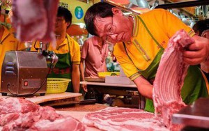 Giấu bằng đại học danh giá, người đàn ông đi bán thịt lợn trở thành tỷ phú: Từng bị mỉa mai là vết nhơ của trường cũ, 20 năm sau khiến người đời nhìn bằng con mắt khác