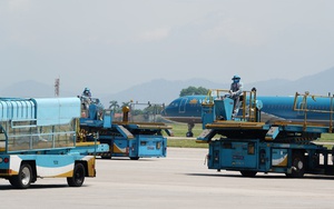 Khỉ vàng bất ngờ xuất hiện tại khu vực hàng rào an ninh sân bay Nội Bài