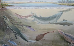 Phát hiện hài cốt thủy quái 360 triệu tuổi chuyên săn tổ tiên loài người