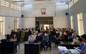 Nguyên 6 cán bộ, lãnh đạo Vinacafe Nam Tây Nguyên lãnh án