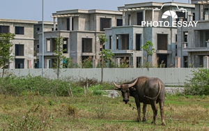 [Photo Essay] Sắp lên thành phố phía Bắc Hà Nội, khu vực "Làng biệt thự" Mê Linh hiện nay ra sao?