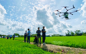Công ty Việt dùng 3.000 máy bay không người lái phun thuốc trừ sâu cho đồng lúa, vườn sầu riêng: Chỉ 8.000-10.000 đồng/lít, tăng trưởng 100%/năm