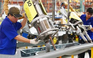 Kết quả khảo sát gây bất ngờ: Chỉ 5% lao động Việt Nam có đủ trình độ tiếng Anh để làm việc, quá thấp so với khu vực!