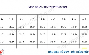 Đáp án môn Toán bài thi tham khảo kỳ thi tốt nghiệp THPT 2023