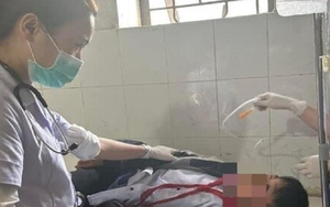 Hà Tĩnh: 11 học sinh nhập viện sau khi ăn phải quả ngô đồng