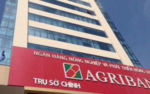 Agribank phát mại loạt tài sản của công ty con Tân Hoàng Minh