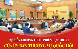 Ủy ban Thường vụ Quốc hội họp xem xét phê chuẩn bổ nhiệm, miễn nhiệm nhân sự