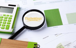 Thaiholdings giảm hơn 1.400 tỷ đồng vay nợ năm 2022, lãi sau thuế 301 tỷ đồng