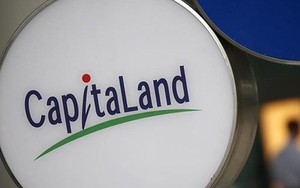 CapitaLand: Từ sự tương đồng trong mô hình chia nhỏ BĐS để bán, đến cuộc đàm phán mua 1,5 tỷ USD tài sản của Vinhomes