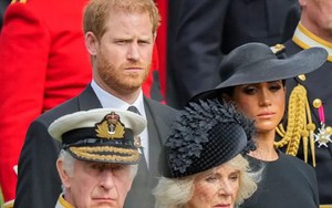 Harry và Meghan đã bị Vua Charles đuổi khỏi nhà