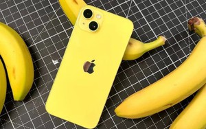 Chuyên gia châu Âu: Hãy tránh xa mẫu iPhone này của Apple, trừ phi gặp giá hời!