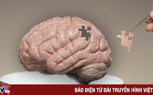 Lạ lùng dự án máy tính chạy bằng “não người”