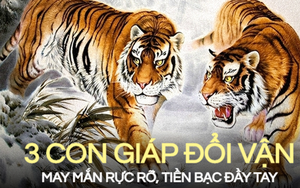 Bước sang tháng 2 nhuận Âm lịch này, 3 con giáp đổi vận rực rỡ, có cơ hội của cải đầy tay, chuẩn bị để ngồi trên đống tiền