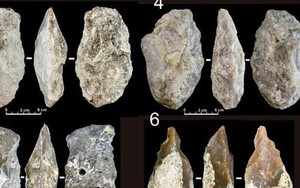 "Bạn của loài người khác" lộ diện ở Tây Ban Nha, mang chân dung "thần rừng"