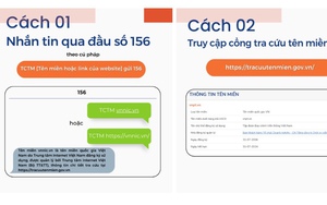 Thu hồi 498 tên miền giả mạo thương hiệu lớn, báo chí để lừa đảo