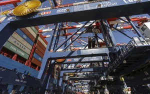 Trung Quốc lên tiếng về cáo buộc cần cẩu container là thiết bị gián điệp ở Mỹ