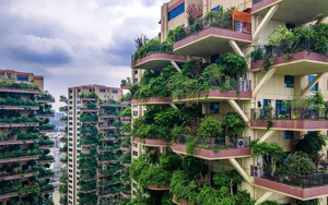 Tham vọng xây "thiên đường sinh thái", dự án bạc tỷ của Trung Quốc gần như bỏ hoang vì côn trùng: Bị cây cối "nuốt chửng", rơi vào cảnh hoang tàn chẳng ai dám đến ở