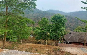 Giật mình khi chủ đất vẫn hét giá cao đất nông nghiệp ven Hà Nội