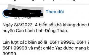 Đồng Tháp thành lập tổ đặc biệt kiểm tra vụ 4 biển số xe đẹp