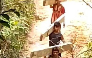 Triệu tập 8 người, kỷ luật 5 cán bộ liên quan vụ phá rừng quy mô lớn ở Huế