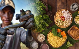 Săn loài cá nhệch, chế biến đặc sản ngon khó quên