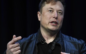 Elon Musk tuyên bố sẽ ra mắt TruthGPT