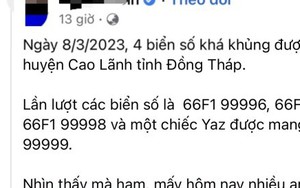 4 biển số xe 'siêu đẹp' được bấm ra ở Đồng Tháp: Ban đầu xác định đúng quy trình