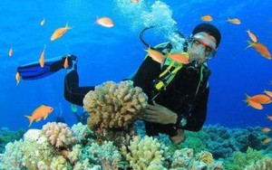 Kinh nghiệm lặn biển khi đến Nha Trang du khách cần biết