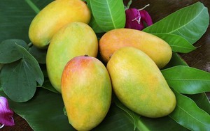 Loại quả 'quốc dân' được nhiều người yêu thích, nhưng một số người cần cẩn thận khi ăn