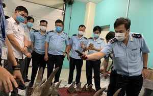 Công an vào cuộc vụ 'xách hộ' sừng tê giác, ngà voi từ Angola về Việt Nam