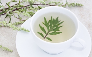 3 loại cây 'thảo dược', hiệu quả điều trị đau đầu do thay đổi thời tiết