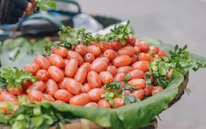 Loại quả mùa hè giàu vitamin C vừa giúp chị em dưỡng nhan, da tươi trẻ, căng tràn collagen lại chữa nhiều bệnh