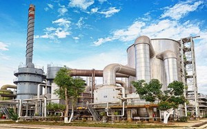 Một mặt hàng Trung Quốc nhập khẩu cực nhiều, Việt Nam có doanh nghiệp sản xuất hàng đầu châu Á