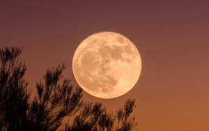 Nữ phi hành gia đầu tiên sẽ khám phá Mặt Trăng vào năm 2024