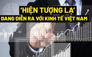 Toàn cảnh 'bức tranh' kinh tế Việt Nam hiện nay