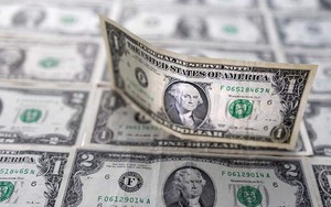 Ông Trump dự báo về tương lai đồng USD