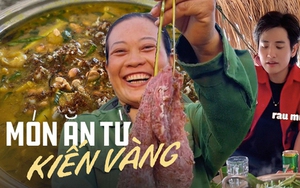 Các món ăn có kiến vàng là đặc sản mà du khách mới nghe qua thì sợ nhưng thử rồi lại ghiền