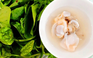 Săn đặc sản giao thoa giữa nước mặn và nước lợ, món khai vị hàng đầu của Hạ Long