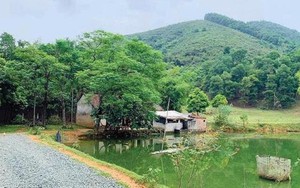 Nỗi khổ giờ mới thấm của người giàu khi bỏ tiền tỷ để sở hữu căn nhà thứ hai